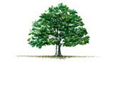 Providential Collection